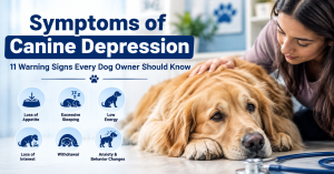 Symptoms of Canine Depression – Warning Signs Every Dog Owner Should Know